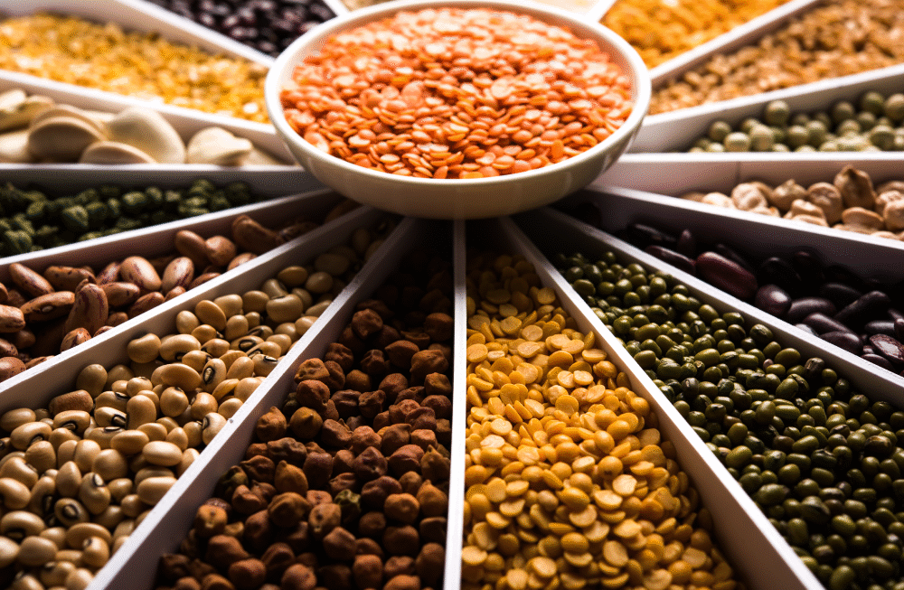 Exporting India’s finest cereals and pulses — quality-checked, nutrition-rich, and globally trusted.